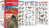 New Mexico Birds Bird Guide