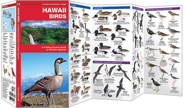 Waterford-Hawaii Birds