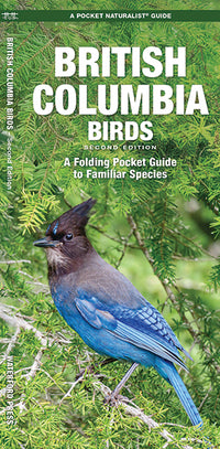 Waterford-British Columbia Birds