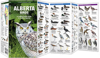 Waterford-Alberta birds