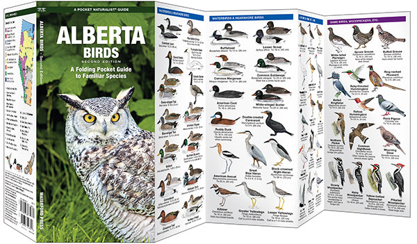 Waterford-Alberta birds