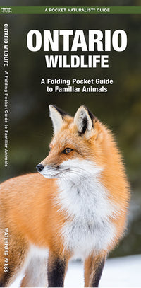 Waterford-Ontario Wildlife
