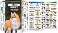 Waterford-Ontario Wildlife