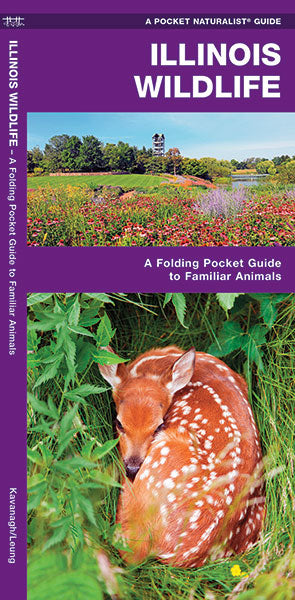 Waterford-Illinois Wildlife