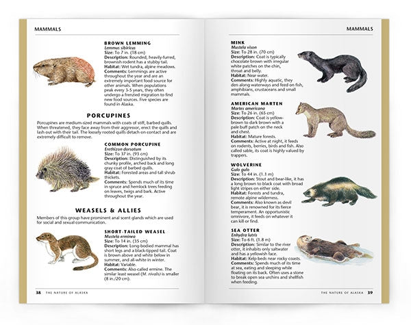 Waterford-The Nature of Alaska (FieldGuide)