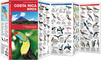 Waterford-Costa Rica Birds