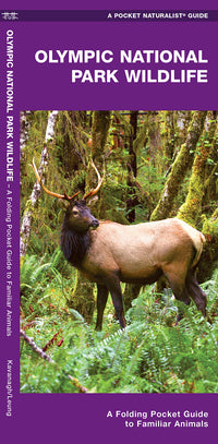 Waterford-Olympic National Park Wildlife