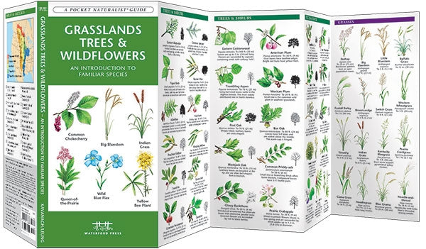 Natuurgids Grasslands Trees & Wildflowers