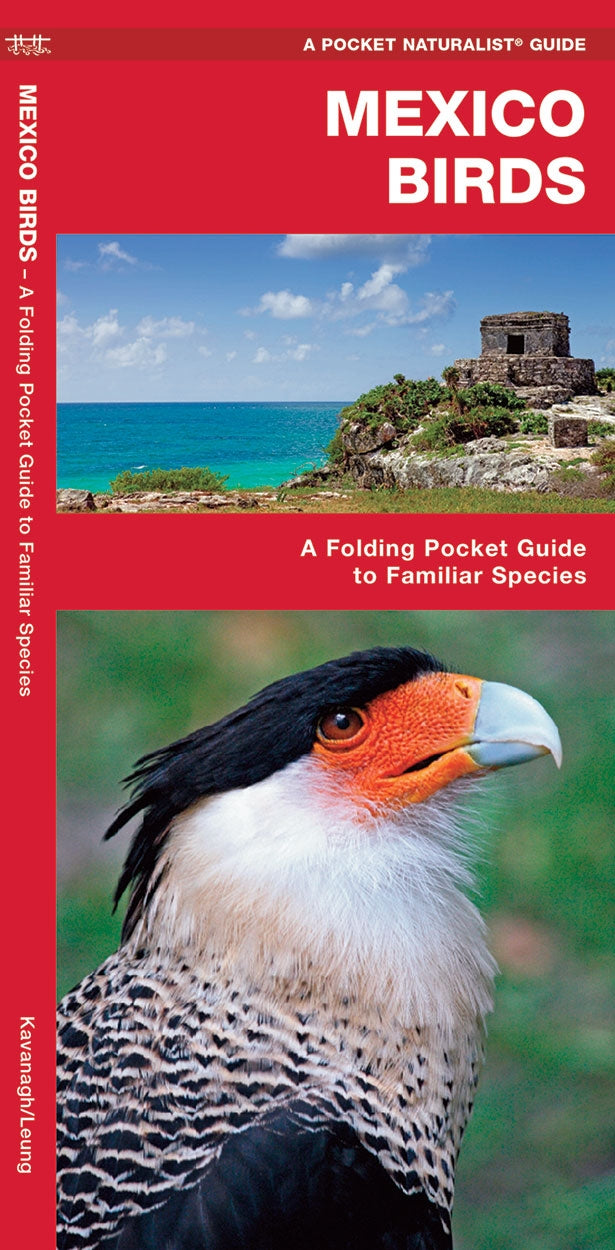 Waterford-Mexico Birds
