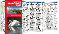Waterford-Vancouver Birds
