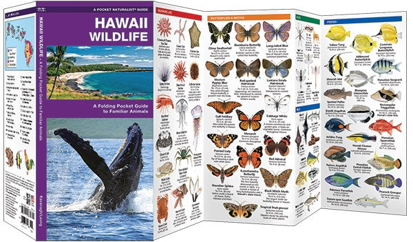 Waterford-Hawaii Wildlife