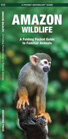 Waterford-Amazon Wildlife