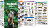 Waterford-Amazon Wildlife