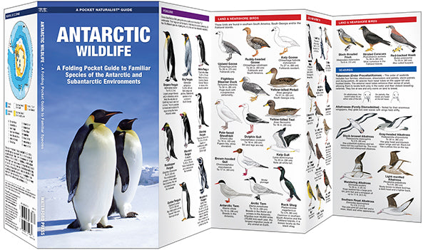 Waterford Antarctic Wildlife