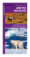 Natuurgids Arctic Wildlife