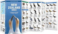 Waterford-New Zealand Birds
