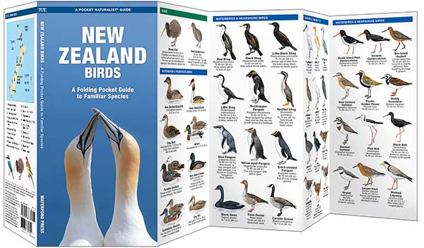 Waterford-New Zealand Birds
