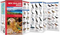 Waterford-New Zealand Birds