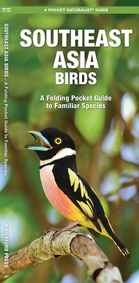 Waterford-Southeast Asia Birds