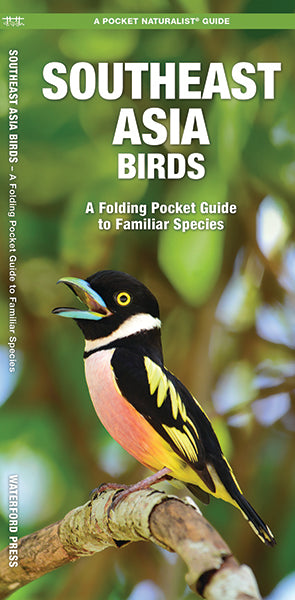 Waterford-Southeast Asia Birds