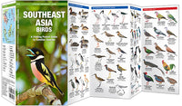 Waterford-Southeast Asia Birds