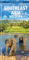 Waterford-Southeast Asia Wildlife