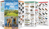 Waterford-Southeast Asia Wildlife