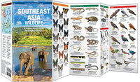 Waterford-Southeast Asia Wildlife