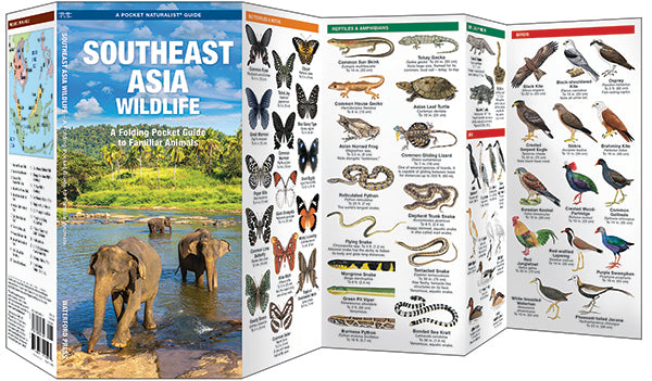 Waterford-Southeast Asia Wildlife