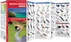 Vogelgids South Africa Birds