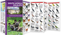 Waterford South Africa Wildlife