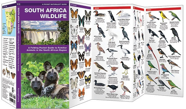 Waterford South Africa Wildlife
