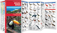 BraziliÃ«-Brazil Birds (2016)