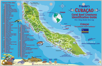 Fish Card Curacao Dive Sites &amp; Fish ID Card / Coral Reef Creatures