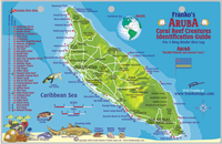 Fish Card Aruba Dive Sites &amp; Fish ID Card / Coral Reef Creatures