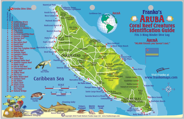 Fish Card Aruba Dive Sites & Fish ID Card /  Coral Reef Creatures