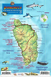 Dominica Dive Map &amp; Fish ID Card / Coral Reef Creatures