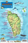 Dominica Dive Map & Fish ID Card /  Coral Reef Creatures