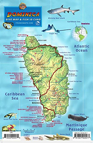 Dominica Dive Map &amp; Fish ID Card / Coral Reef Creatures