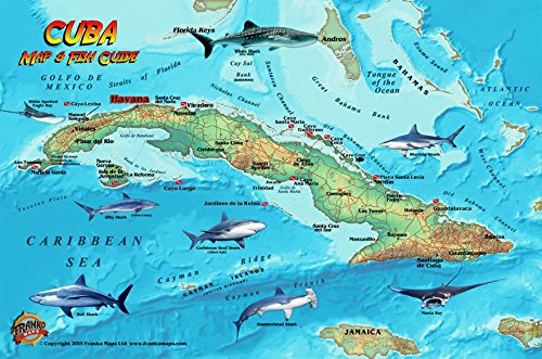 Fish Card Cuba Sea Dive Sites & Fish ID Card /  Coral Reef Creatures