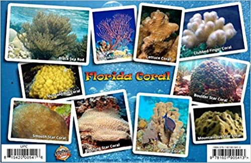 Coral Card Florida Coral ID Card /  Coral Reef