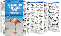Vogelgids Dominican Republic Birds