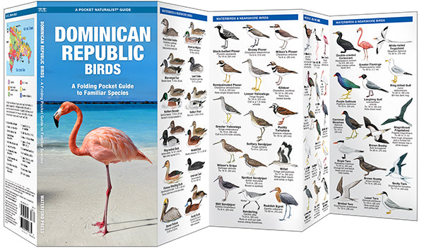 Vogelgids Dominican Republic Birds