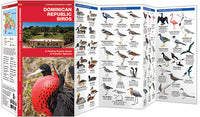 Vogelgids Dominican Republic Birds (2017)