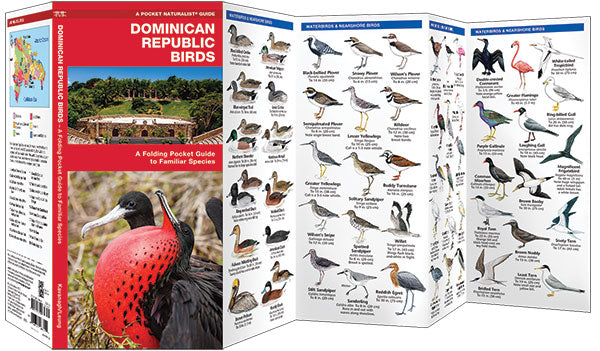 Bird Guide Dominican Republic Birds (2017)