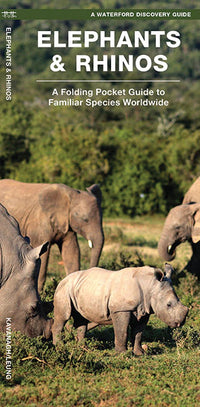 Elephants &amp; Rhinos (2017)