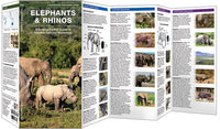 Elephants &amp; Rhinos (2017)