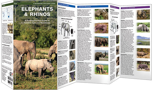 Elephants &amp; Rhinos (2017)