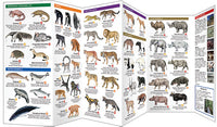 Threatened Animals Worldwide (2016)