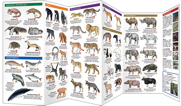 Threatened Animals Worldwide (2016)